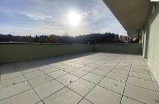 Wohnung kaufen in 8044 Graz, Lichtdurchflutete TRAUM-WOHNUNG mit 50 m² Terrassenfläche
