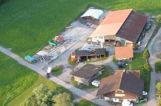 Grundstück zu kaufen in 6914 Hohenweiler, Gewerbefläche in Autobahnnähe, Wohnbebauung möglich