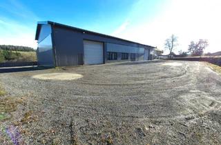 Lager mieten in Limbach 64a, 8241 Limbach, Lagerhalle, LKW/PKW Abstellplatz zu vermieten