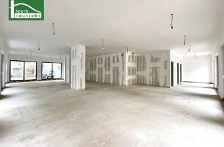 Büro zu mieten in Heßstraße, 3100 Sankt Pölten, EINZELHANDEL: Gewerbeobjekt im Karmeliterhof zwischen Rathausplatz und Julius-Raab-Promenade. - WOHNTRAUM