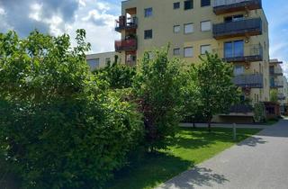Wohnung mieten in Peter Rosegger Straße 29-39a, 8053 Graz, Peter Rosegger sonnige 3ZI mit Balkon, ruhig, ökologisch, familienfreundlich
