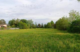 in 3433 Königstetten, 5000m2 Günland