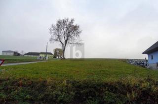Grundstück zu kaufen in 3392 Schönbühel an der Donau, SONNIGE UND RUHIGE LAGE NAHE MELK?