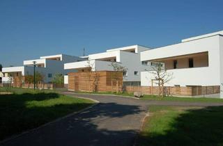 Wohnung mieten in Hinterschweigerstrasse, 4600 Wels, Geräumige Wohnung mit Terrasse