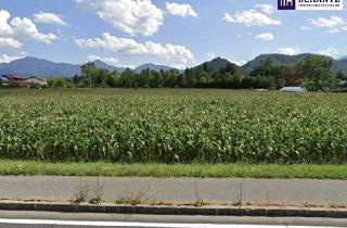 Grundstück zu kaufen in Hauptstraße, 9125 Kühnsdorf, Enormes Potenzial - Bauträger-Grundstück in Wasserhofen, Gemeinde St. Kanzian (Kärnten)