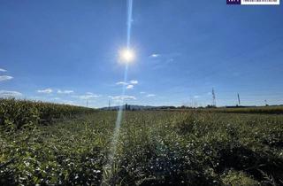 Grundstück zu kaufen in Industriestraße, 8431 Gralla, TOLLE GELEGENHEIT! Gewerbegrundstück für SIE - GEWERBEGRUNDSTÜCK 0,3 - 2,0 Dichte mit direkter Nähe zur Autobahn und zur Eisenbahn!