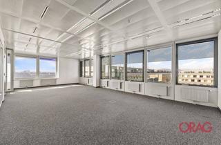 Büro zu mieten in Donau, 1220 Wien, Ares Tower - flexible Büroflächen in 1220 Wien zu mieten