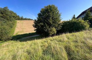 Grundstück zu kaufen in 4441 Badhof, Interessantes Baugrundstück in Stadtnähe