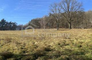 Grundstück zu kaufen in 8384 Minihof-Liebau, Sehr schönes Grundstück für Selbstversorger oder .....