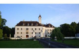 Wohnung mieten in 2435 Ebergassing, Herrschaftliches Wohnen im Schloss 3 Zimmer Wohnung 155 m² Warmmiete