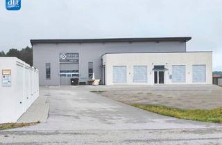 Büro zu mieten in 5166 Perwang am Grabensee, Flexible Büro- und Verkaufsflächen in attraktiver Lage - Perwang/Palting