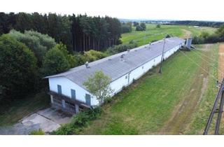Gewerbeimmobilie kaufen in 7552 Stinatz, Teilbarer Gewerbehof mit Erweiterungspotenzial auf großem Baulandgrundstück (Provisionsfrei)