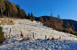 Grundstück zu kaufen in 9400 Wolfsberg, Bauland Kurgebiet und Grünland auf der Koralm