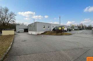 Lager mieten in Kremstalerstraße 2, 4053 Haid, Attraktive Lagerfläche in Haid mit Kränen