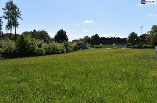 Grundstück zu kaufen in 8301 Laßnitzhöhe, Wunderbares Bauträgergrundstück in Bestlage Nähe 8301 Laßnitzhöhe