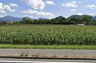 Grundstück zu kaufen in 9141 Eberndorf, Enormes Potenzial - Bauträger-Grundstück in Wasserhofen, Gemeinde St. Kanzian (Kärnten)