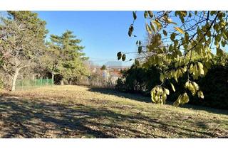 Grundstück zu kaufen in 7072 Mörbisch am See, AUFGESCHLOSSEN - SONNIGES, EBENES ECKGRUNDSTÜCK MIT ALTBAUMBESTAND