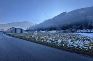 Grundstück zu kaufen in 8784 Trieben, Grundstück, Widmung GG 0,2 - 1,0