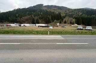 Grundstück zu kaufen in 8784 Trieben, Grundstück, Widmung GG 0,2 - 1,0