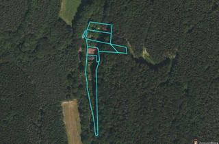 Grundstück zu kaufen in 7441 Pilgersdorf, Baugrundstück in Alleinlage umgeben von Wald!