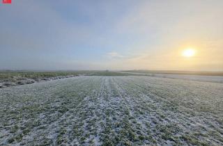 Grundstück zu kaufen in 8424 Gabersdorf, Großzügiger Baugrund mit Traumaussicht