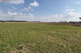 Grundstück zu kaufen in 8424 Gabersdorf, Großzügiger Baugrund mit Traumaussicht