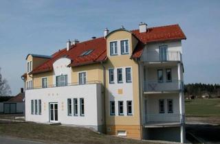 Wohnung mieten in Heidenreichsteiner Straße 77, 3872 Amaliendorf, Geräumige 3-Zimmer-Wohnung in Amaliendorf