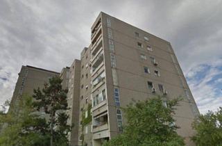 Wohnung mieten in 2351 Wiener Neudorf, TOP LAGE – Gepflegte 1-Zimmer-Wohnung mit Balkon