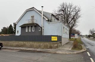 Einfamilienhaus kaufen in 7071 Rust, Wohlfühloase in Rust: Renoviertes Haus auf 620 m² Grundstück