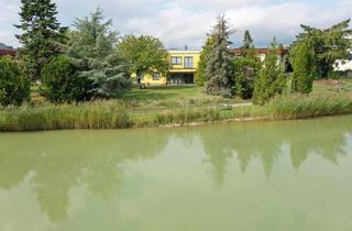 Haus kaufen in 2601 Eggendorf, Ganz seltene Gelegenheit - Haus am Teich auf Eigengrund, 2 Wohneinheiten möglich