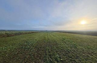 Grundstück zu kaufen in 8424 Gabersdorf, Sonniges Bauland mit attraktiver Aussicht