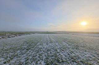 Grundstück zu kaufen in 8424 Gabersdorf, Großzügiger Baugrund mit Traumaussicht