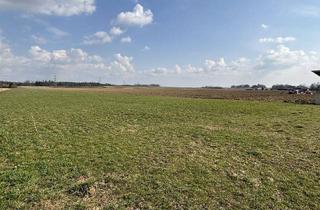 Grundstück zu kaufen in 8424 Gabersdorf, Großzügiger Baugrund mit Traumaussicht