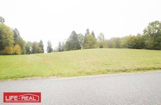 Grundstück zu kaufen in 4150 Berg, Schafzucht, Pferdezucht,schöne, große landwirtschaftliche Nutzfläche, in ruhiger Lage