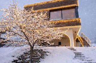 Villen zu kaufen in Sonnwendgasse, 7072 Mörbisch am See, ++ TRAUMBLICK über den gesamten Neusiedler See ++ Architektenvilla mit weitläufigem Garten und traumhaftem Seeblick in idyllischer Lage! + Teilung und weitere Bebauung des Grundstückes möglich