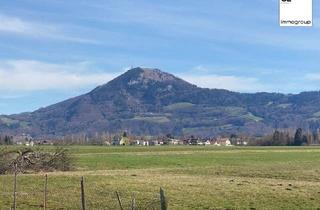 Reihenhaus kaufen in 5020 Salzburg, Sehr charmantes und top-gelegenes Mittelreihenhaus - Leopoldskron-Moos