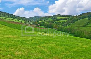 Doppelhaushälfte kaufen in 2534 Alland, Ihr Traumhaus für nur 439.000 Fixpreis - sofort beziebar - Neubaustandard !!!