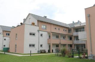 Wohnung mieten in 2485 Wimpassing an der Leitha, Wohnung in Wimpassing