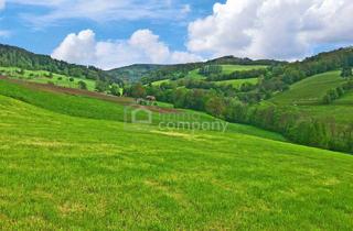 Doppelhaushälfte kaufen in 2534 Alland, Ihr Traumhaus für nur 439.000 Fixpreis - sofort beziebar - Neubaustandard !!!