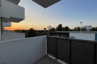 Wohnung mieten in Ziegelhofstraße, 1220 Wien, Ziegelhofstraße: Neuwertige Single-Wohnung mit Balkon beim Hirschstettner Badeteich!