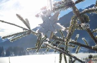 Gewerbeimmobilie kaufen in 4691 Breitenschützing, Traumhafte Alleinlage!