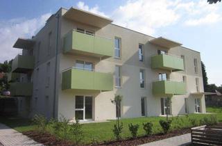 Wohnung mieten in Poststraße 11, 3652 Leiben, Leiben, Betreubares Wohnen, ab 54 m² / 01405