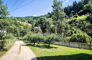 Grundstück zu kaufen in 9413 Frantschach, Interessantes Grundstück mit Altbestand