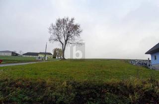 Grundstück zu kaufen in 3392 Schönbühel an der Donau, SONNIGE UND RUHIGE LAGE NAHE MELK?