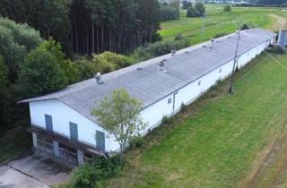 Lager kaufen in 7552 Stinatz, Teilbarer Gewerbehof mit Erweiterungspotenzial auf großem Baulandgrundstück (Provisionsfrei)