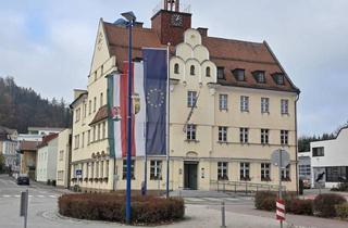 Doppelhaushälfte kaufen in Therme Bad Schallerbach, 4701 Bad Schallerbach, GENIALES DHH mit Doppelgarage im Kurort Bad Schallerbach - Nahe Zentrum!