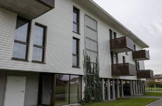 Wohnung mieten in 6845 Hohenems, Ihr neues Zuhause: 3-Zimmer-Wohnung in Hohenems