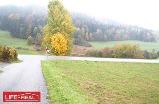 Grundstück zu kaufen in 4150 Rohrbach, schöne, große landwirtschaftliche Nutzfläche, in ruhiger Lage