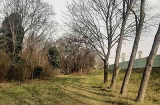 Grundstück zu kaufen in 1220 Wien, Freizeitgrundstück (Eigengrund!) - Nähe Mühlwasser - KEIN BAULAND!