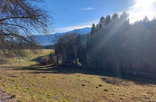 Grundstück zu kaufen in 9712 Fresach, Großes Bauland in Fresach mit Potenzial